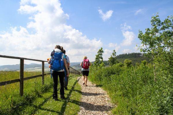 Ferienhaus Sauerlandtraum Winterberg Exteriér fotografie
