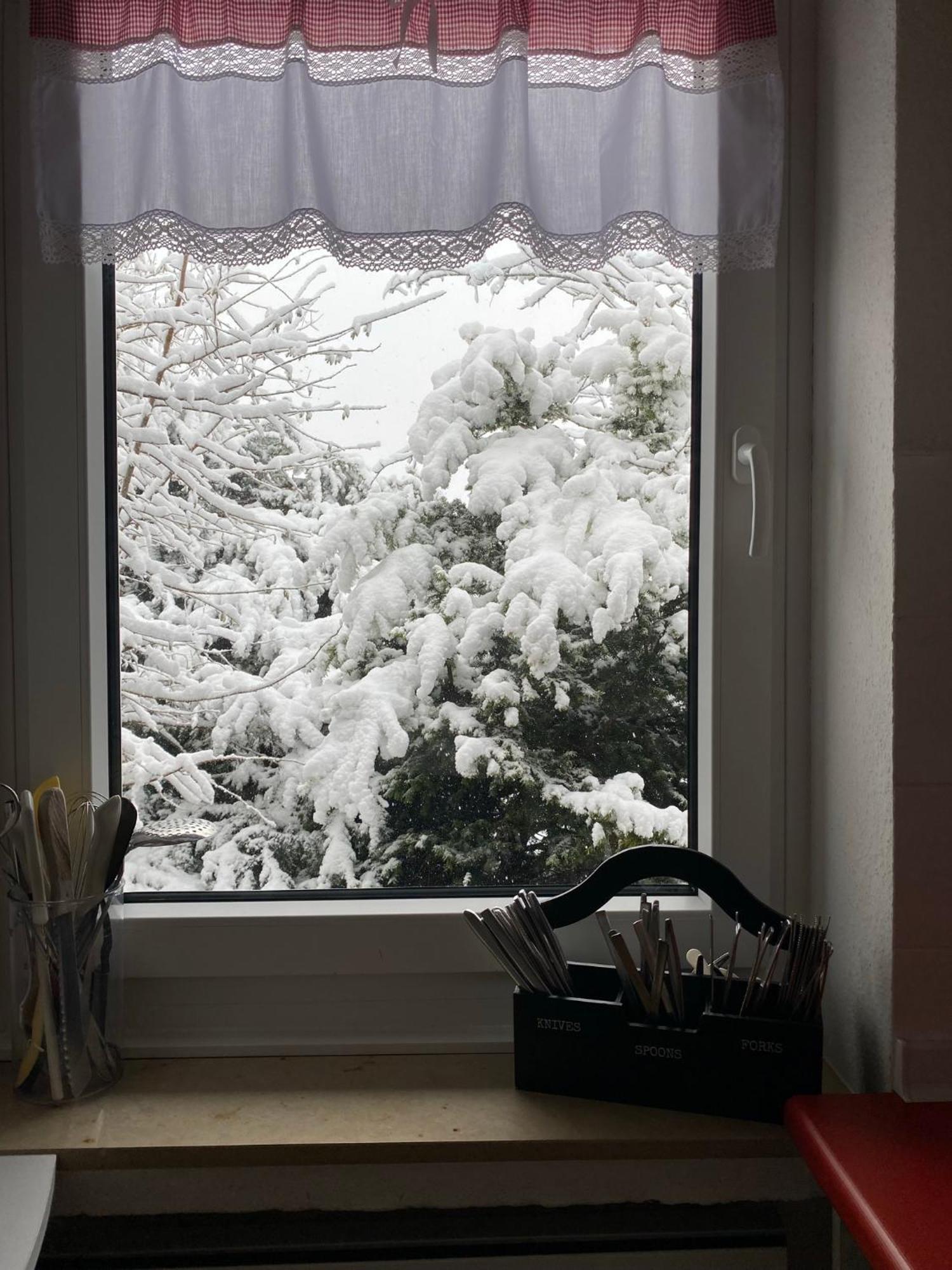 Ferienhaus Sauerlandtraum Winterberg Exteriér fotografie